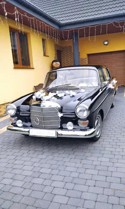 kujawsko-pomorskie Mercedes-Benz Inny cena 70000 przebieg: 84000, rok produkcji 1967 z Lipno